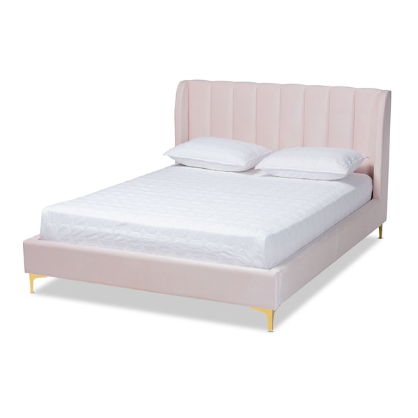 Baxton Studio Saverio Pink Velvet Queen Size Platform Bed with Gold-Tone Legs 156-9099 - main